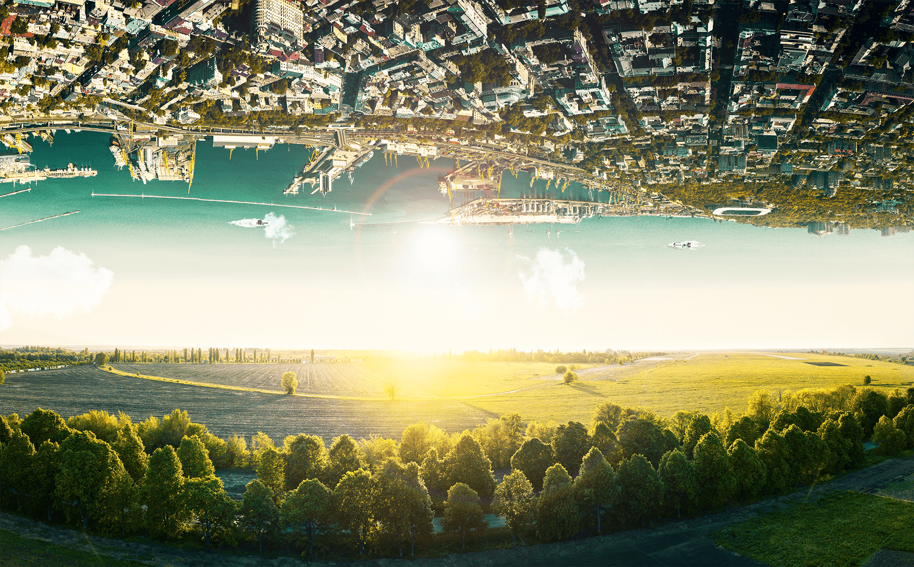banner5.png