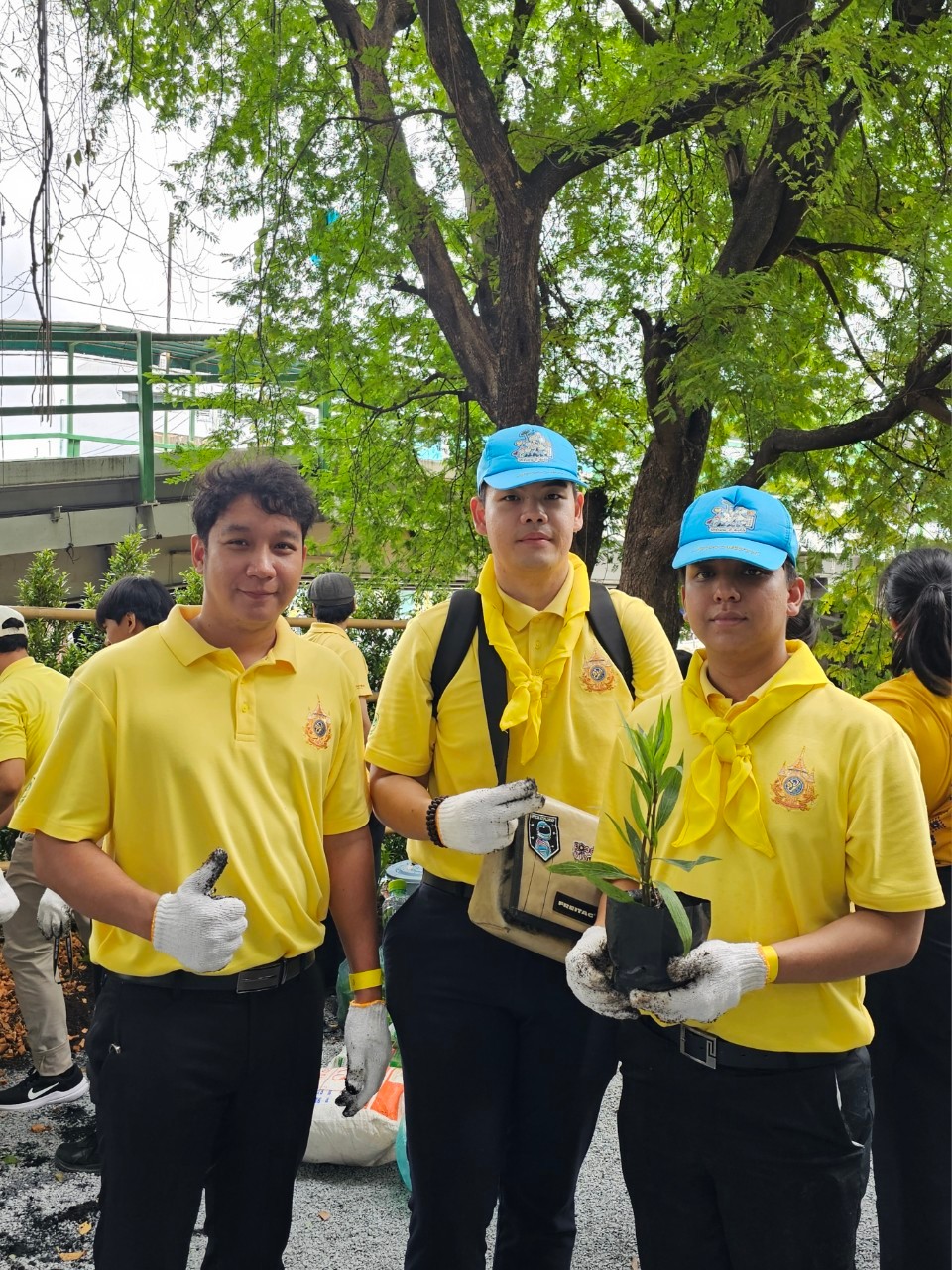 20240726 Nu_ปลูกป่า (3).jpg