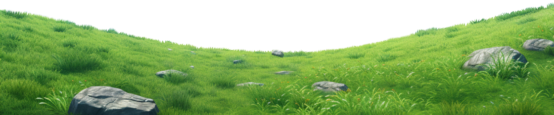 grass